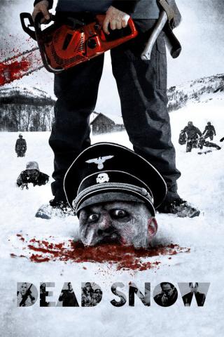 Операция «Мёртвый снег» (2009)